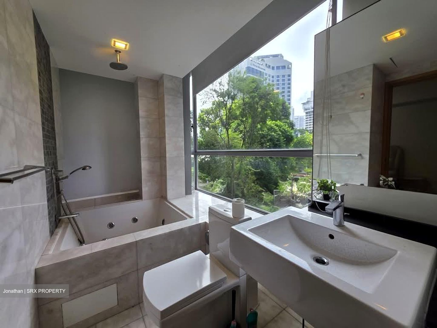 Angullia Park Residences @ Orchard (D10), Apartment #601005071